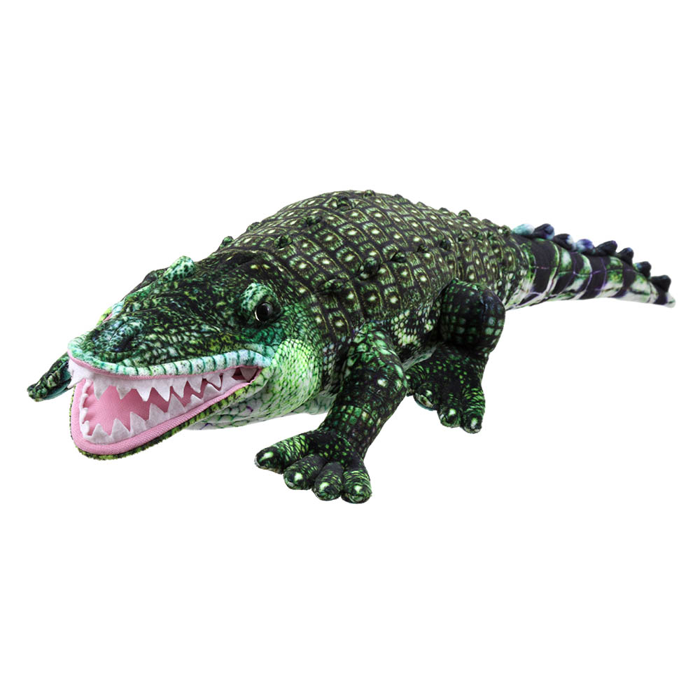 Alligator-Large-Creatures-PC009712-1