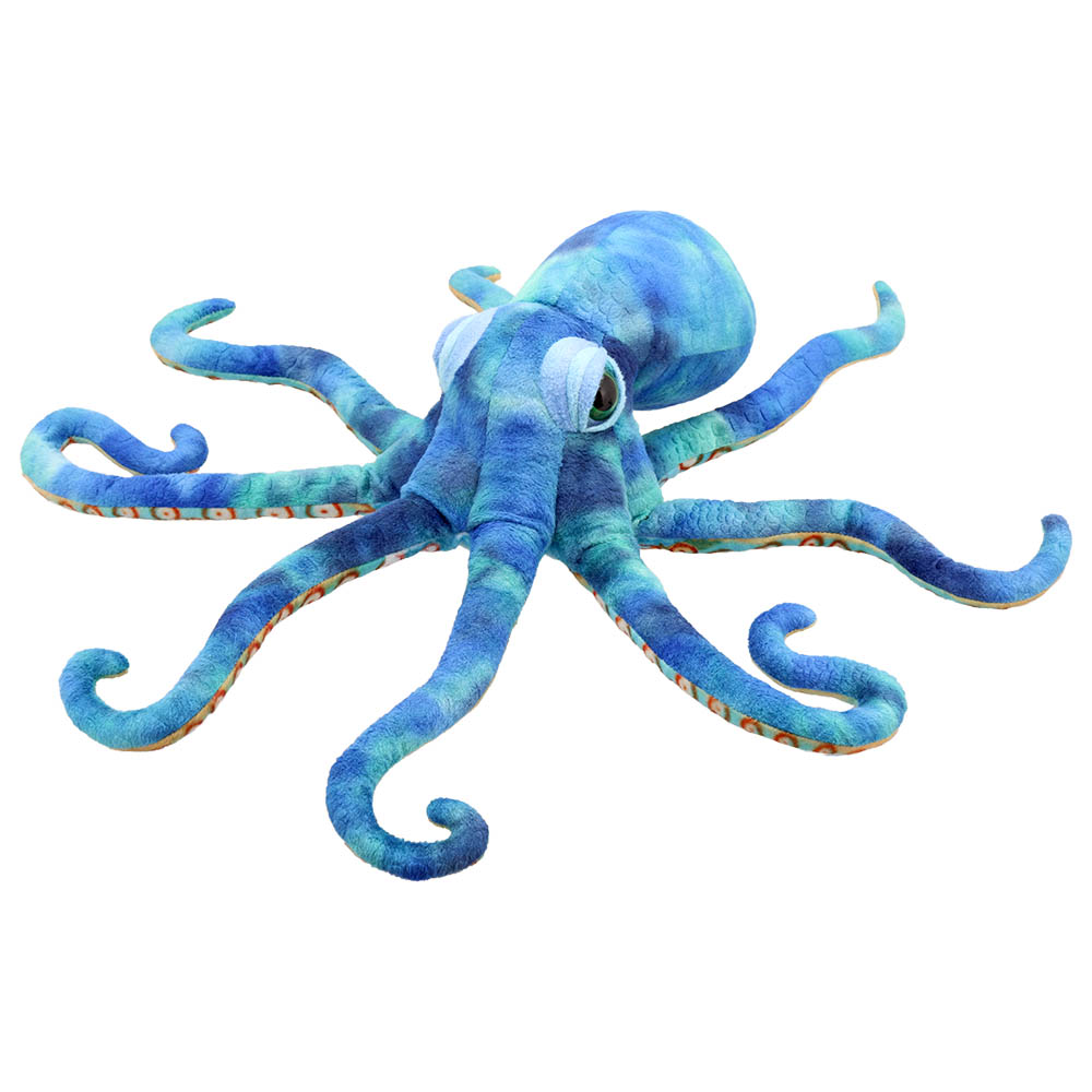 Octopus-Large-Creatures-PC009704-1