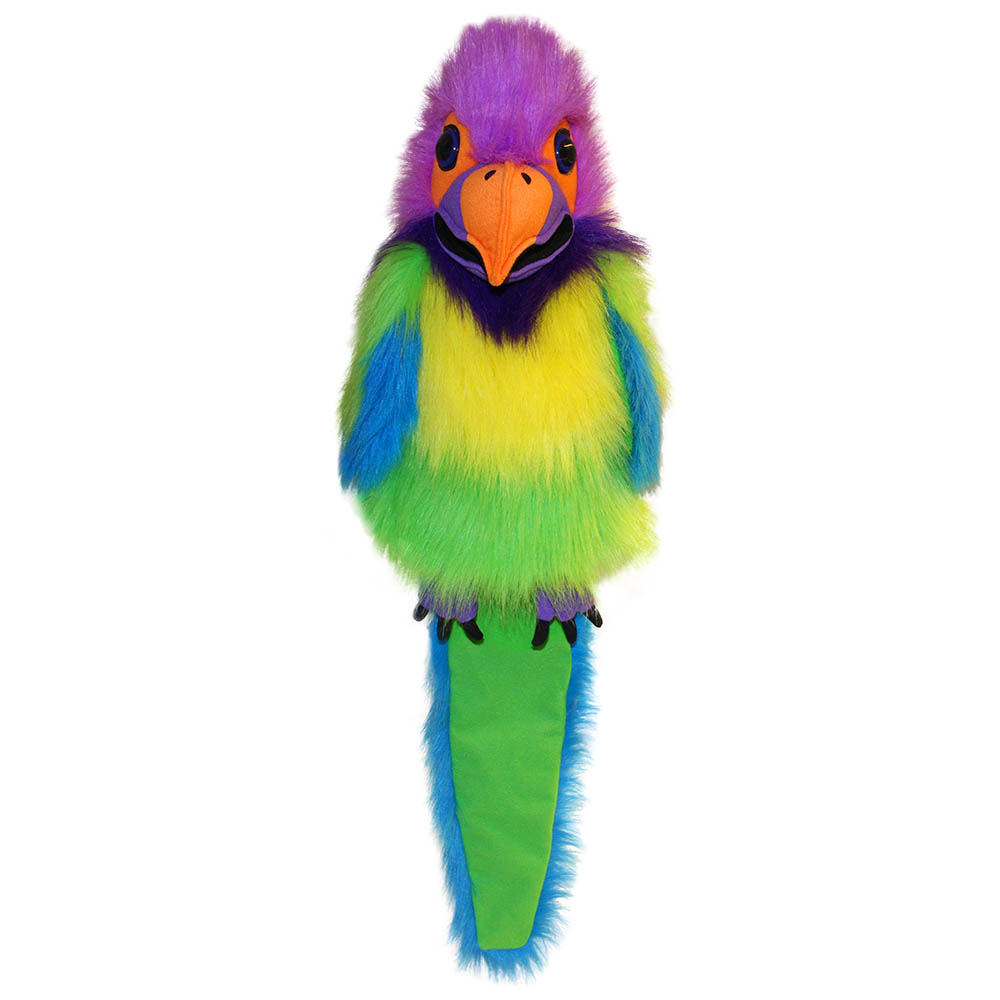 Plum-Headed-Parakeet-Large-Birds-PC003117-1